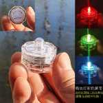 점프 거미 먹이 상자 작은 비 트랩 아쿠아 스케이프 상자 가습기 먹이 포트가있는 플로리다 점프 거미 곤충의 그림