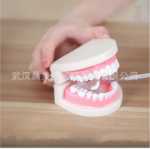 304 스테인레스 스틸 치과 거울 입 거울 홈 케어 치과 거울 청소 키트 액세서리 치과 입 거울의 그림