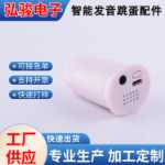 반전 금형 4개국 음성 발음 액세서리 지능형 발음 액세서리 충전식 지능형 발음 점퍼 액세서리의 그림