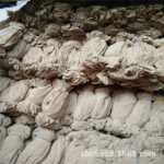 일회용 신발 피팅 양말의 그림