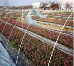 소형 캐노피용 섬유유리 막대 섬유유리 막대의 그림